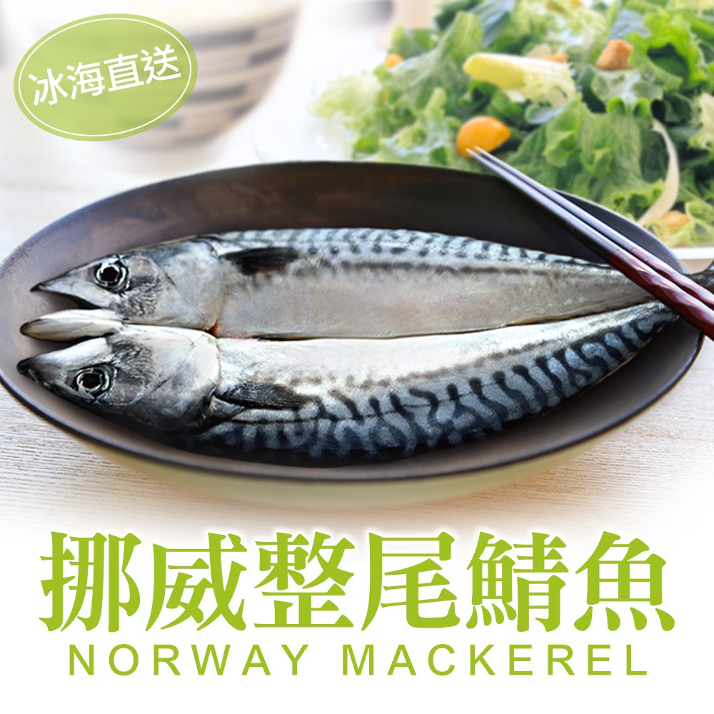 愛上生鮮 挪威整尾鯖魚(4/6/8尾)海鮮 魚 營養CP值高 Omega-3 低(290g/尾)現貨 廠商直送