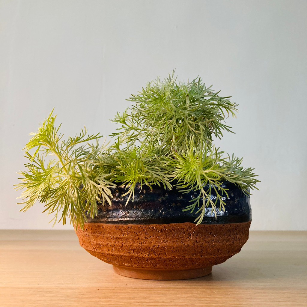 新年花盆 優惠推薦 21年6月 蝦皮購物台灣