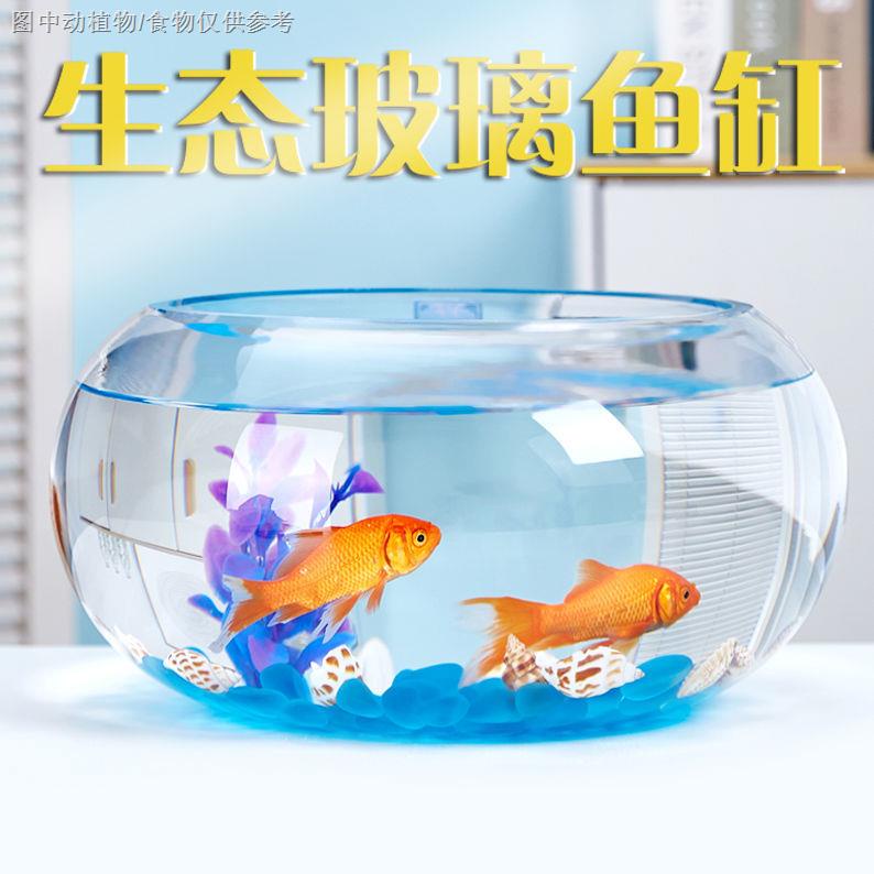 【玻璃魚缸】【透明圓缸魚缸】魚缸透明玻璃辦公桌創意水培圓形圓球圓型小型烏龜迷你桌面小魚缸