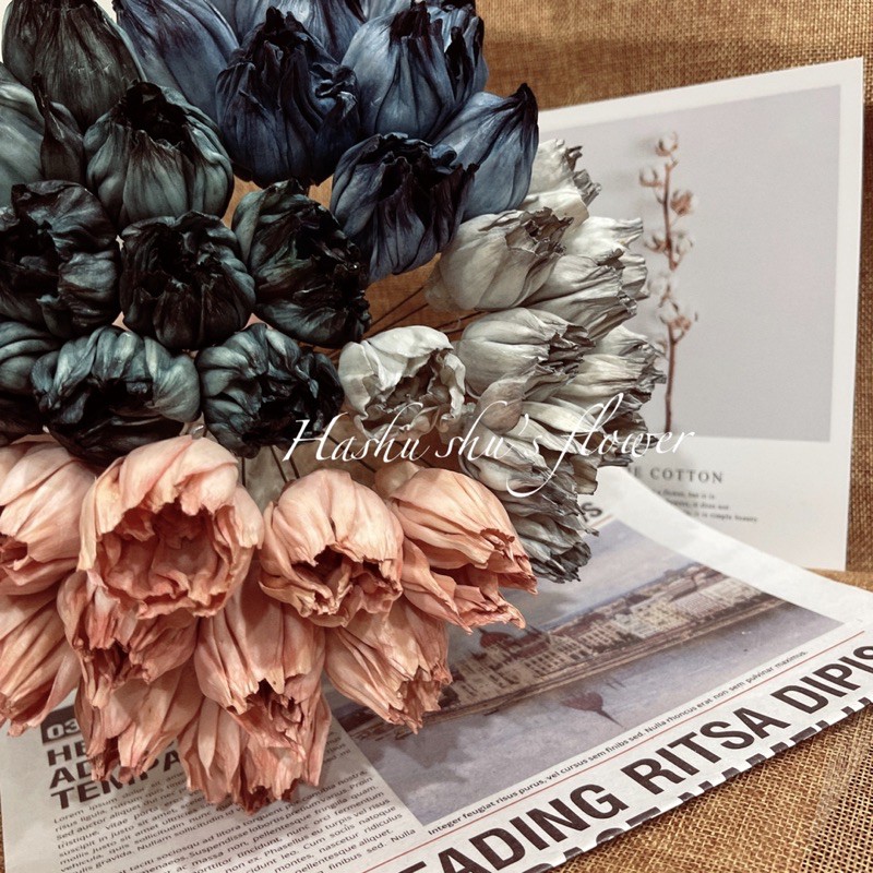 現貨 鬱金香鬱金香花束索拉花鬱金香乾燥花鬱金香鬱金香花材乾燥花乾燥花材乾燥花束材料花束材料包乾燥花材料 蝦皮購物