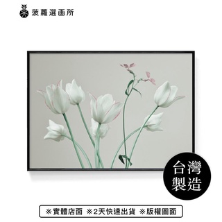 花語 • 鬱金香I-畫/植栽/花/客廳掛畫/辦公桌裝飾/玄關/複製畫