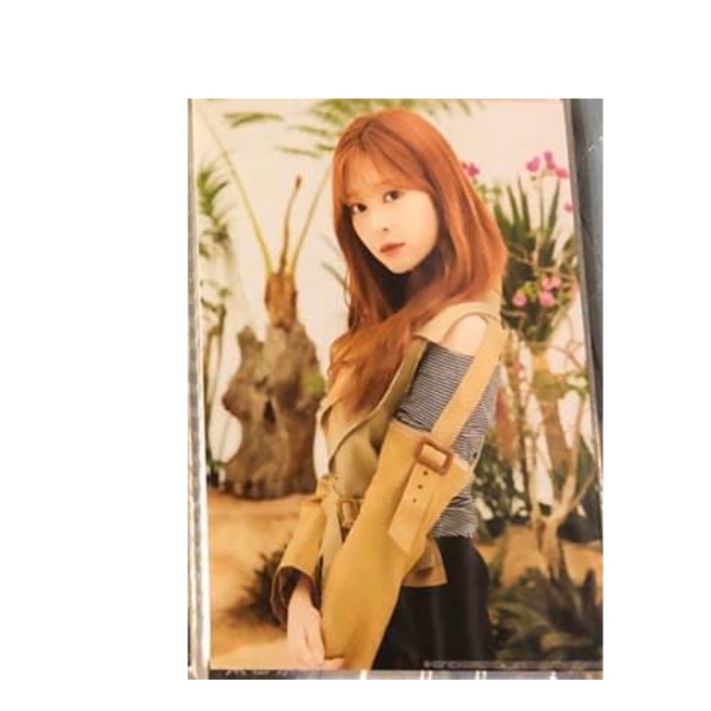 IZ*ONE 生写真 izone 生寫真通常盤的價格推薦- 2026年8月| 比價比個夠BigGo