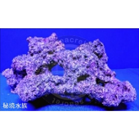 ♋ 秘境水族 ♋【美國CORAL REEF】珊瑚礁 人工活石 假活石 仿真活石 裝飾 繁殖 人工珊瑚