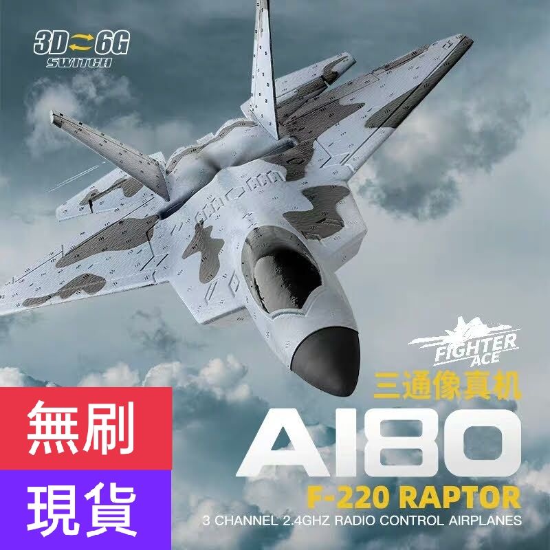 【遙控家】偉力A180(F-22)高性能無刷動力3D/6G特技飛行 耐摔EPP/RTF全套版(新手入門)