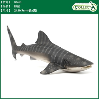 【W先生】CollectA 鯨鯊 鱷魚 尼羅鱷躍起 稜皮龜 動物模型