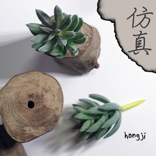 多肉 模擬多肉 微景觀 P15 假多肉植物 辦公室小物 療癒紓壓生日禮物拍照道具居家裝飾咖啡屋商店擺飾迷你木頭底座盆栽