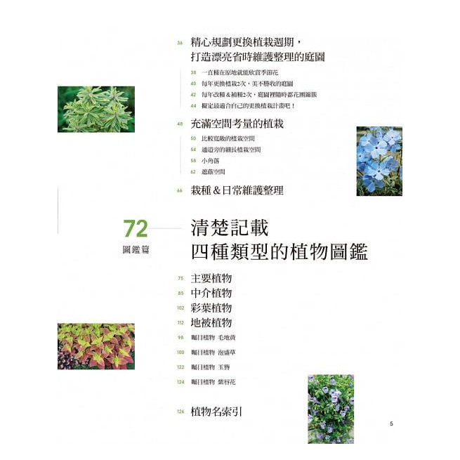 輕鬆規劃草本風花草庭園 活用多年生草本植物4類型 色彩 蝦皮購物