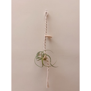 macrame 植物壁掛 空氣鳳梨 吊飾 編織壁掛 室內植物 花器