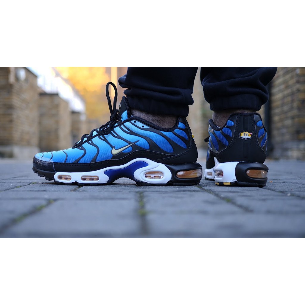 blue and black air max plus