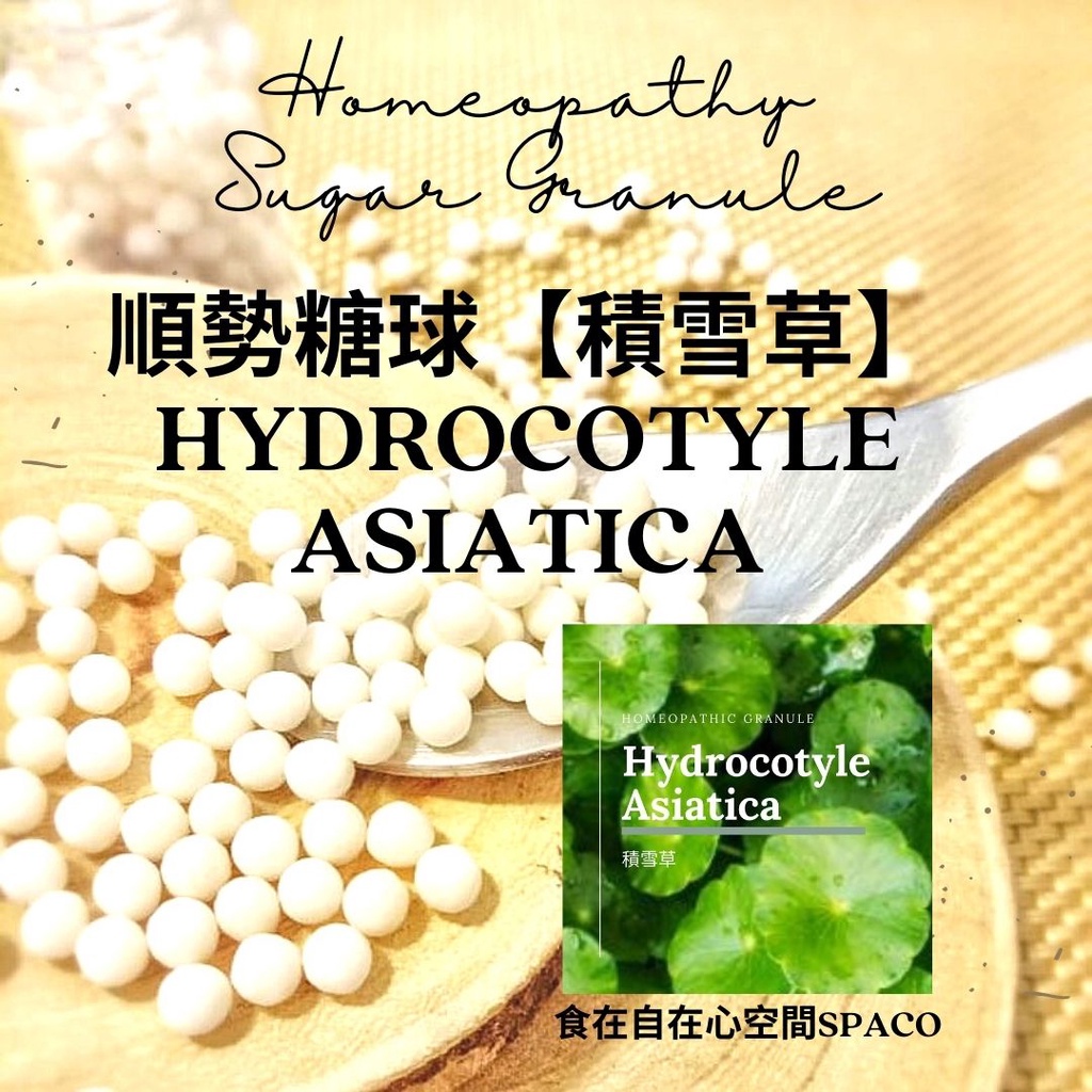 順勢糖球【積雪草●Hydrocotyle Asiatica】Homeopathic Granule（肌膚／傳導網路／水）