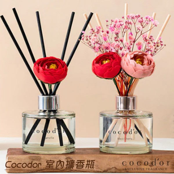 【1分半】韓國  Cocodor 山茶花限定款 室內擴香瓶120ml 居家生活 小蒼蘭 香氛 送禮