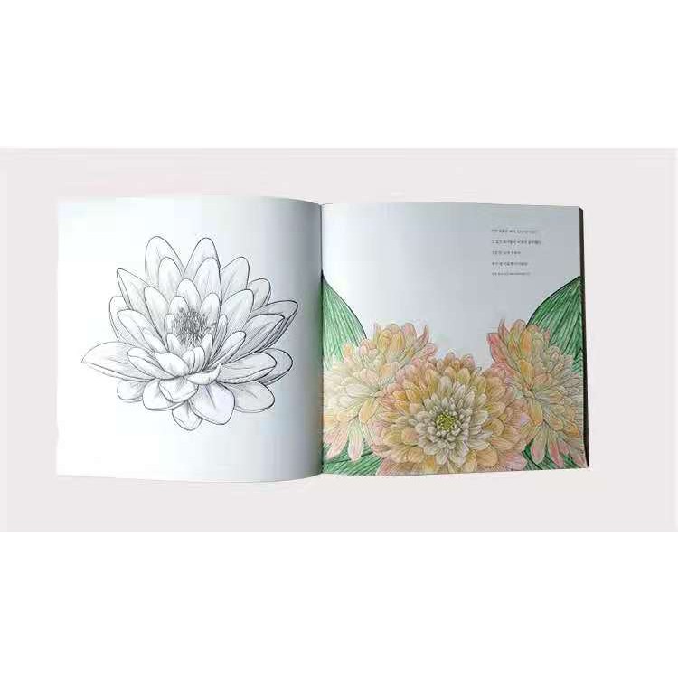 限時 99免運 現貨 舒壓著色本畫畫本塗鴉本韓國flower Garden涂色本花的庭院成人減壓花卉花朵涂鴉繪畫著 蝦皮購物