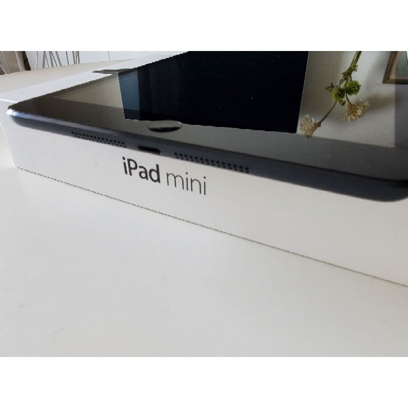 IPad mini 32g