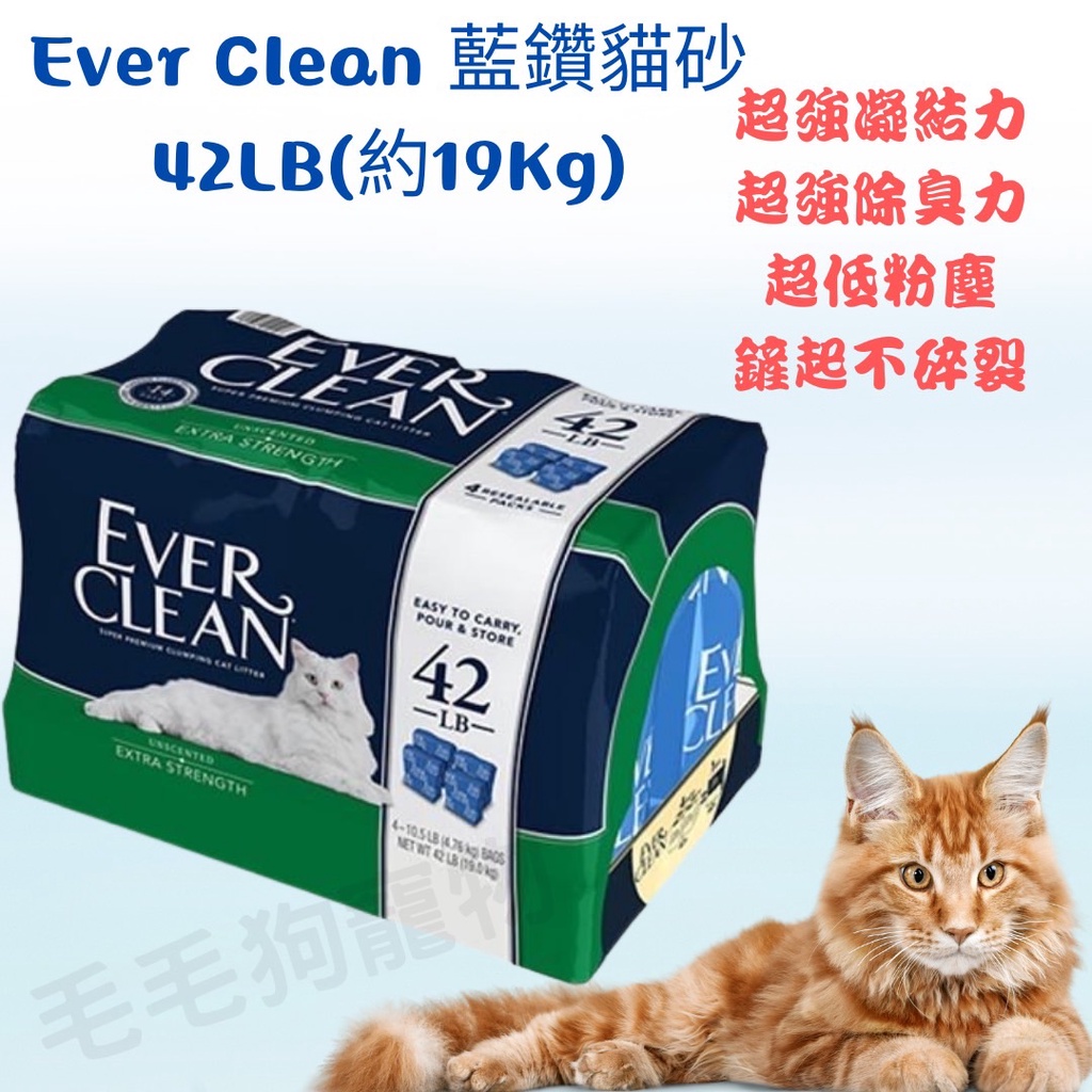 【毛毛狗】🔥有現貨🔥 美國Ever clean 藍鑽貓砂42LB(約19kg) 超凝結貓砂 超強除臭 低敏 低粉塵