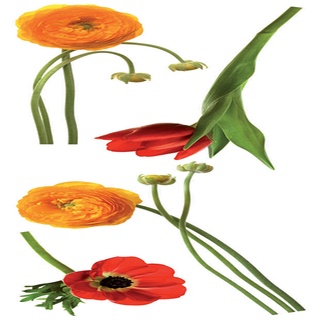 義大利進口HOME DECOR 牆壁貼飾 35cmX100cm 野花(C58398)