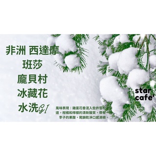 †星星咖啡†非洲 西達摩 班莎 龐貝村 冰藏花 水洗G1