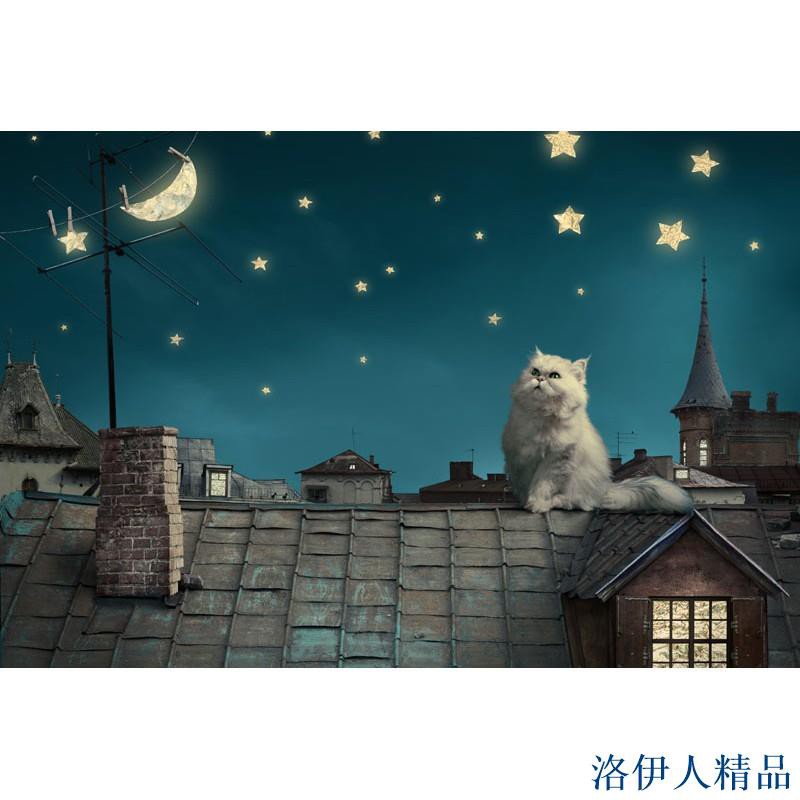 星夜貓 -高級椴木300片/500片/1000片拼圖