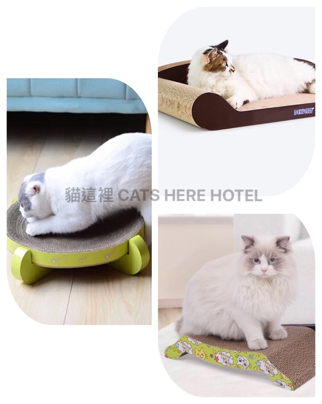 【貓咪玩具】貓這裡 現貨 環保 瓦楞紙貴妃椅 帝王座 貓沙發 貓抓板