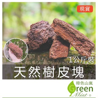 現貨 水苔 智利 中國 乾燥水苔乾燥水草鹿角蕨介質食蟲植物介質蘭花介質昆蟲保濕 綠色山嵐 蝦皮購物