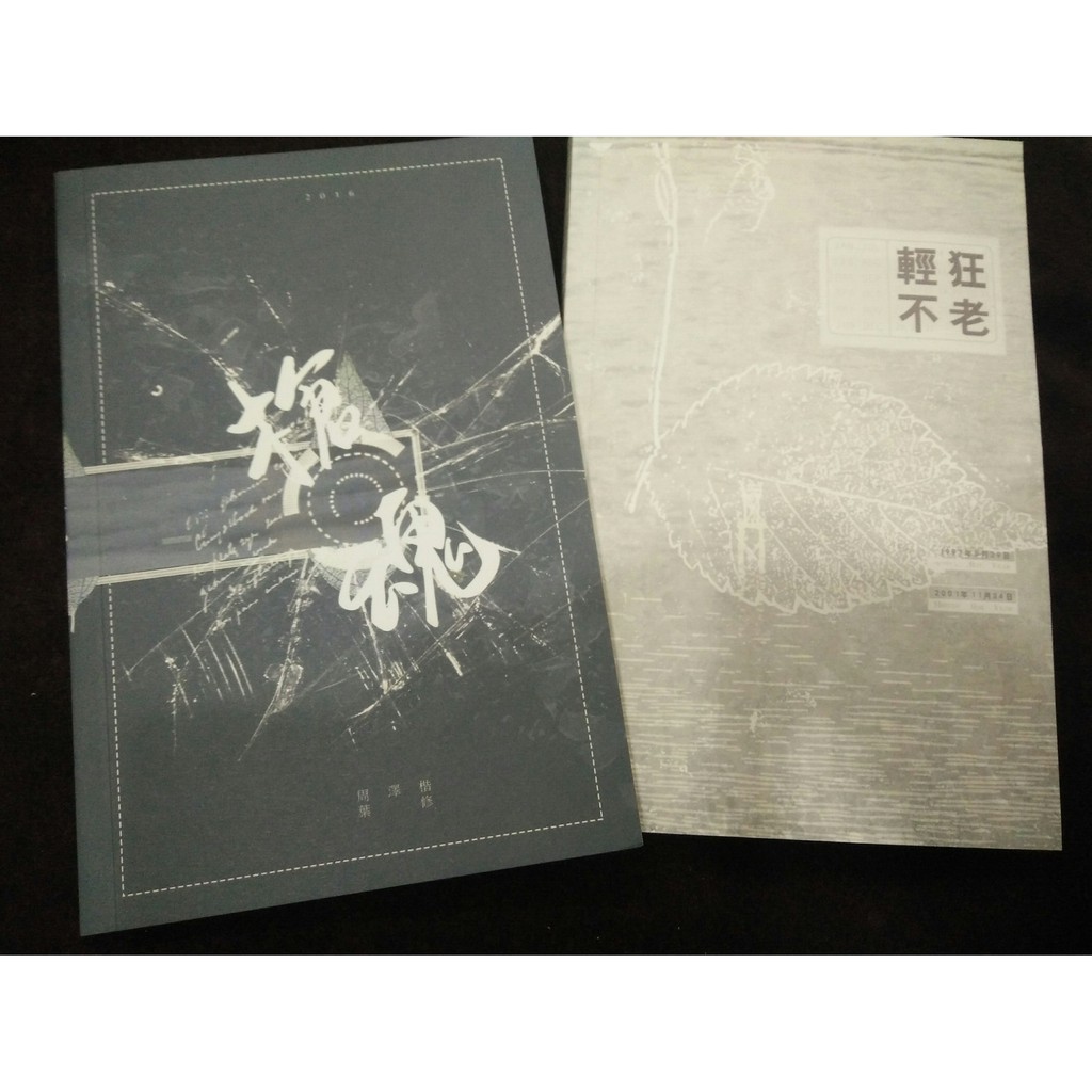 全職高手同人小說《輕狂不老》周葉／作者：川如色