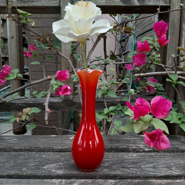 【MarsC】早期老玻璃花瓶.紅色蘭花口細長頸花瓶