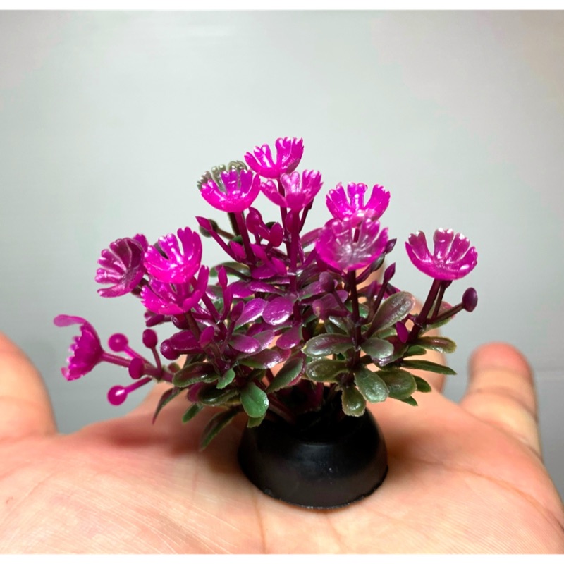 動力水族 假水草仿真水草塑膠水草水草缸水草水蘭莫絲默思莫斯造景 蝦皮購物