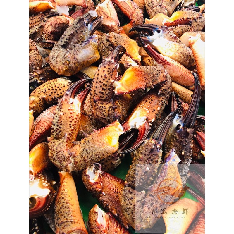 ༺百凰海鮮༻特選大石蟳蟹腳 實重500公克不包冰 飽滿肉質超享受