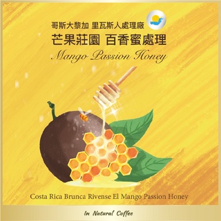 陽光夏 濾掛式咖啡(淺中焙) / 哥斯大黎加 百香蜜 芒果莊園