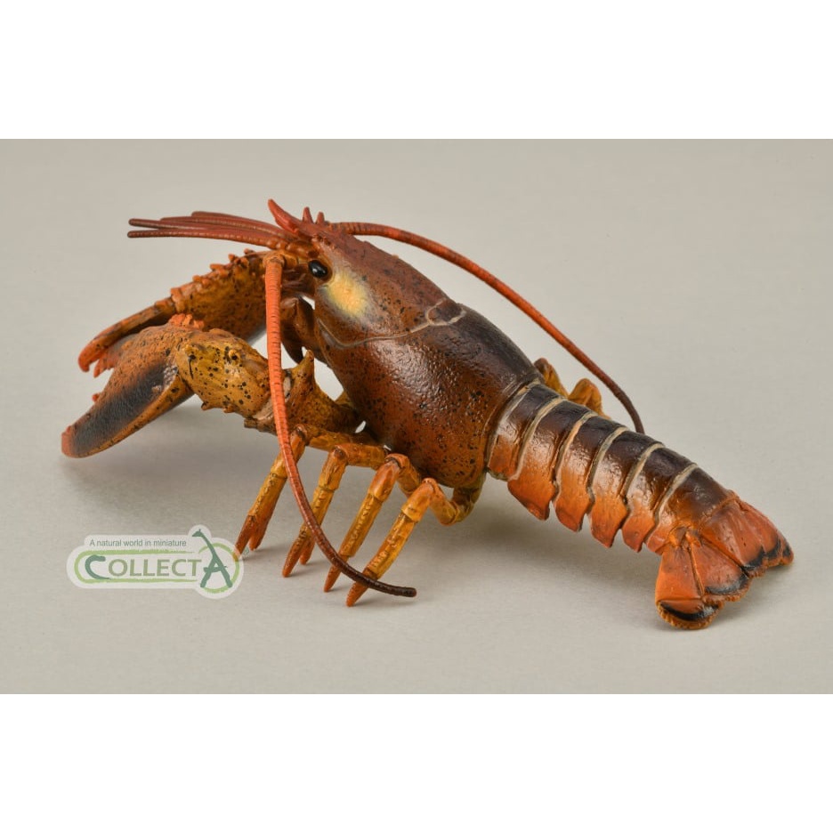 海洋動物模型 CollectA 龍蝦 蝦