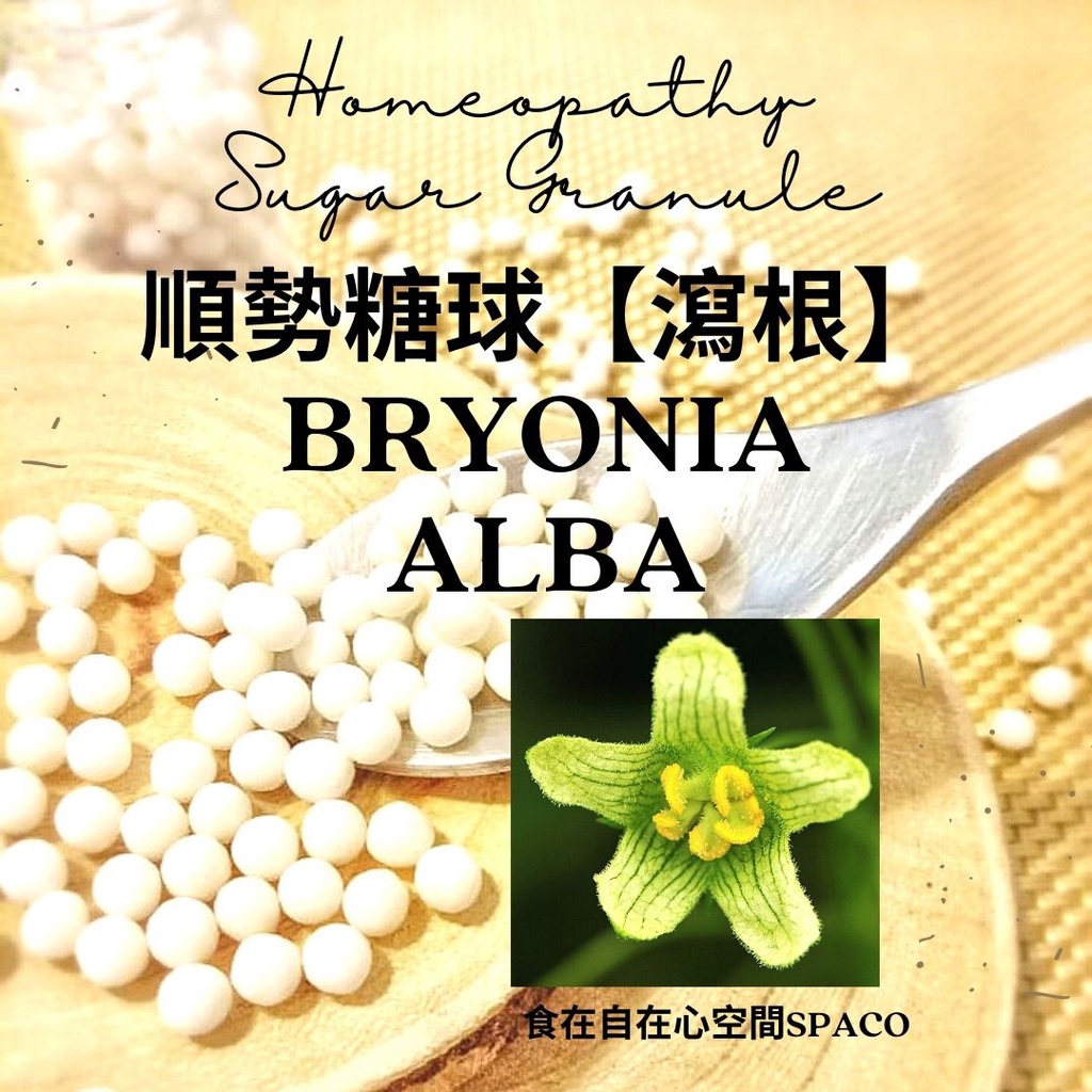 順勢糖球【瀉根●Bryonia Alba】Homeopathic Granule 9克 食在自在心空間