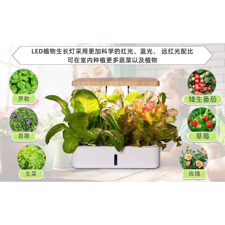 水耕箱 Ptt Dcard討論與高評價網拍商品 21年11月 飛比價格