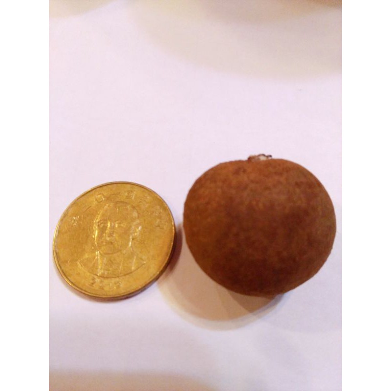 正台南東原龍眼乾 也有龍眼乾肉喲 目前無現貨 蝦皮購物