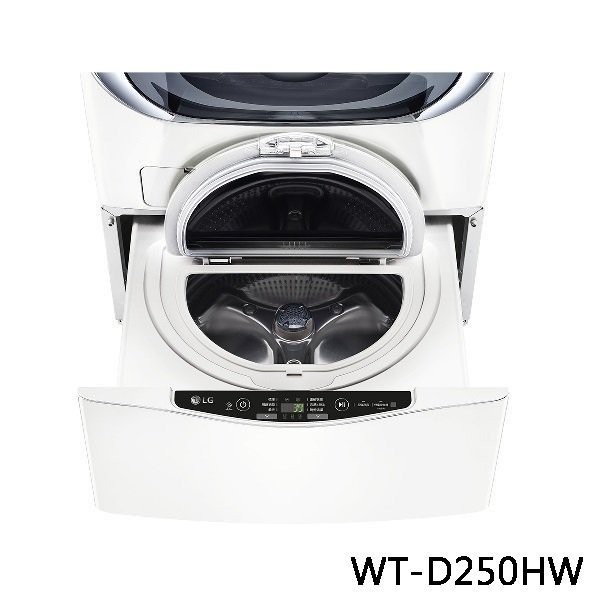 LG 樂金 迷你洗衣機 加熱洗衣 WT-D250HW 2.5公斤 冰磁白 黑皮TIME 原廠保固