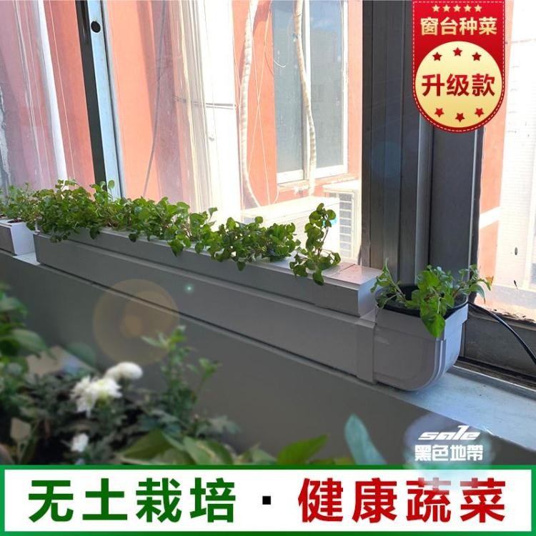 植物栽培箱 Ptt Dcard討論與高評價網拍商品 21年8月 飛比價格
