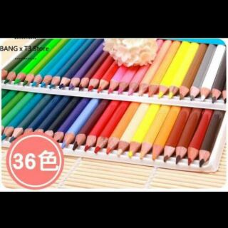 BANG T3 36色 油性彩色鉛筆 秘密花園 魔幻森林 色鉛筆 彩色筆 著色筆 彩色鉛筆【H56】