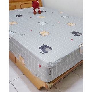 床包枕套組 灰格貓 MIT台灣製 天鵝絨棉 床包 被套 薄床包 枕套 被子 鋪棉兩用被 貓 貓咪