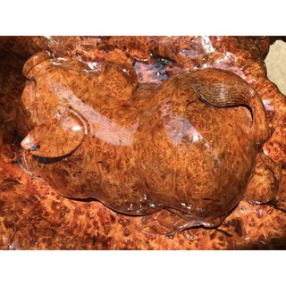 【寶葳】臺灣花梨樹瘤 牛樟 黃檜 紅檜 肖楠 檜木 紅豆杉 扁柏 亞杉 臺灣樟 聚寶盆 文昌筆