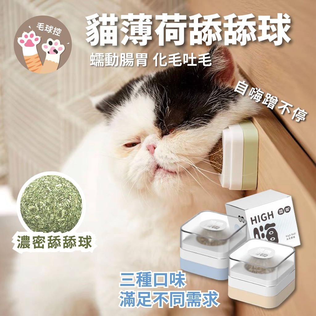 蟲癭果 Ptt Dcard討論與高評價網拍商品 21年9月 飛比價格
