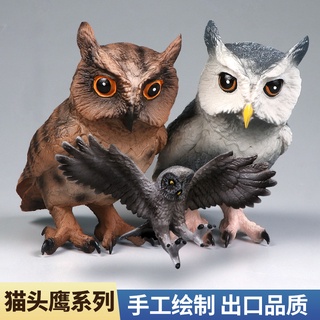 【現貨】模擬貓頭鷹模型 飛禽鳥類野生動物玩具 兒童寶寶早教認知男女孩科教擺件禮物