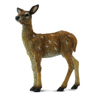 臺中＊＊宏富玩具＊＊《 COLLECTA 》英國 Procon 動物模型 幼鹿