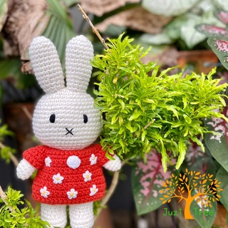 🌷橘荷屋🌷 現貨❤ 荷蘭 Just Dutch 手工編織娃娃 花朵系列 米飛兔 米菲兔 miffy 紅色花朵洋裝