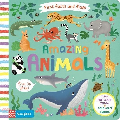 First facts and flaps: Amazing Animals (硬頁翻翻書)