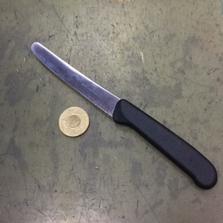 臺灣品牌🇹🇼 鋸齒小刀 105mm 牛排刀 水果刀 小刀 鋸齒刀 日本鋼材製造