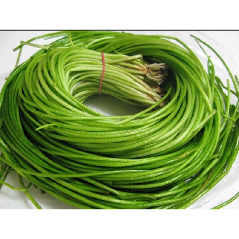 新鮮優質蔬菜 水蓮菜 野蓮根 蝦皮購物