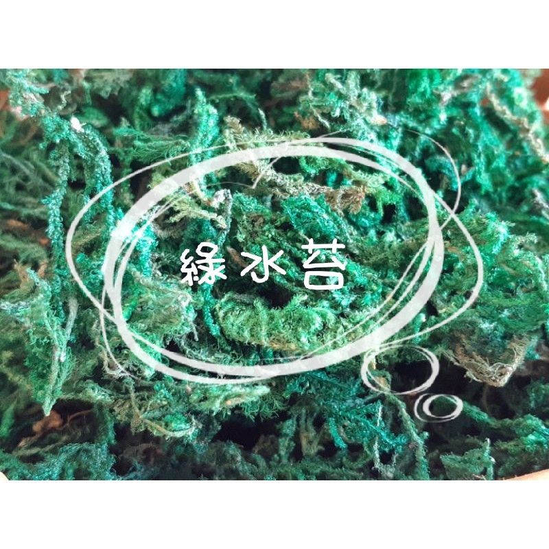 699免運綠色水苔50g 1kg 綠水苔 綠水草 裝飾 天然觀賞 蝦皮購物