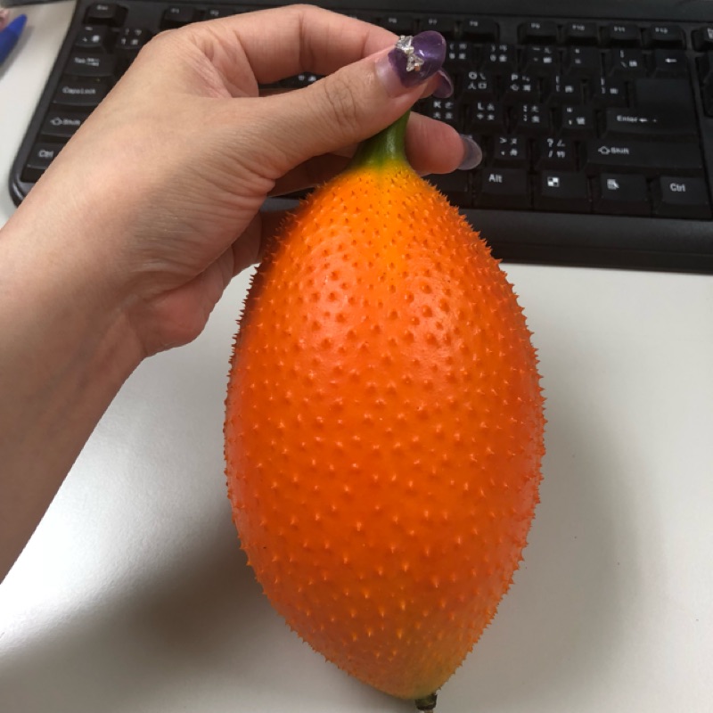 木鱉果在拍賣的價格推薦 21年8月 比價比個夠biggo
