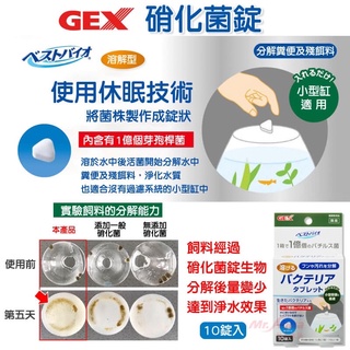 帥哥水族【GEX】硝化菌錠 S-40 解型 淨化水質 小型缸 生態缸 迷你缸 鬥魚缸 硝化菌 過濾 養水