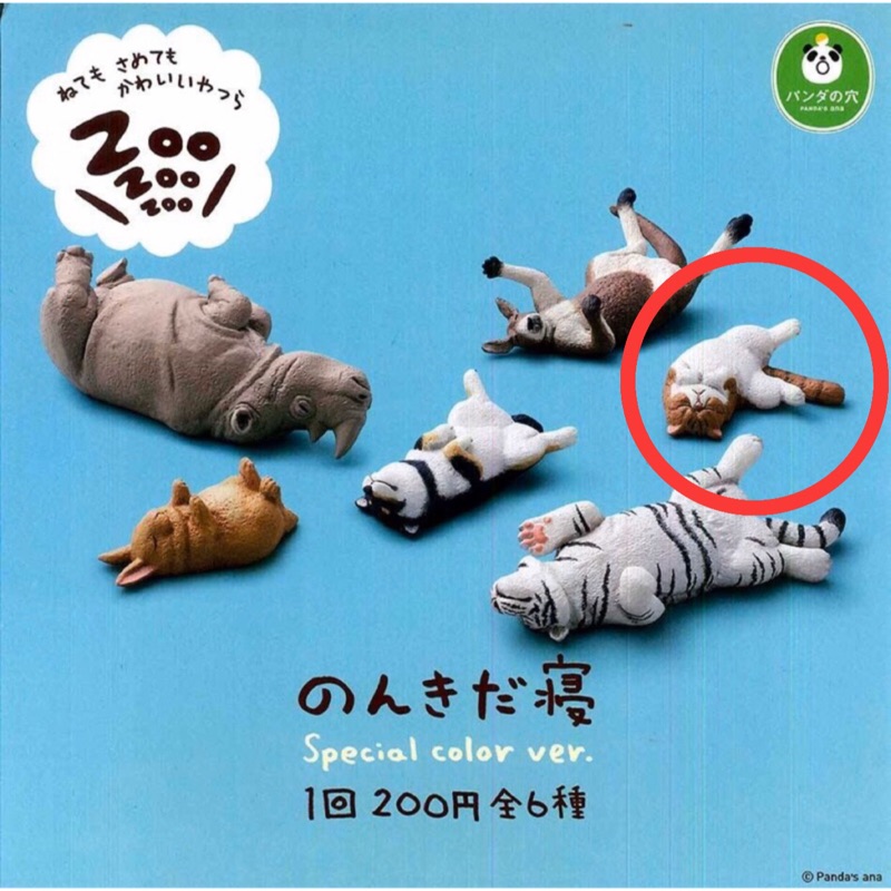 【扭蛋】休眠動物園 單售 貓咪款