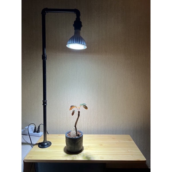 （9成新）工業風 水管燈具 E27接頭 led 植物燈 植物燈泡  塊根 盆栽 多肉 觀葉植物 生態缸 植物燈 單燈座