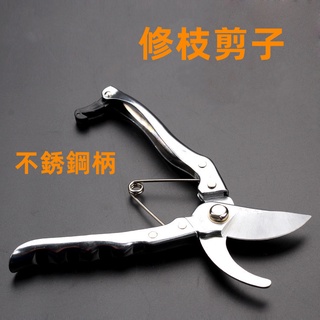 台灣現貨🌈園藝修枝器 園林修枝剪 樹枝修枝剪子 SK5園藝剪刀不銹鋼柄防銹修枝剪果枝剪 五金園林工具修枝剪刀